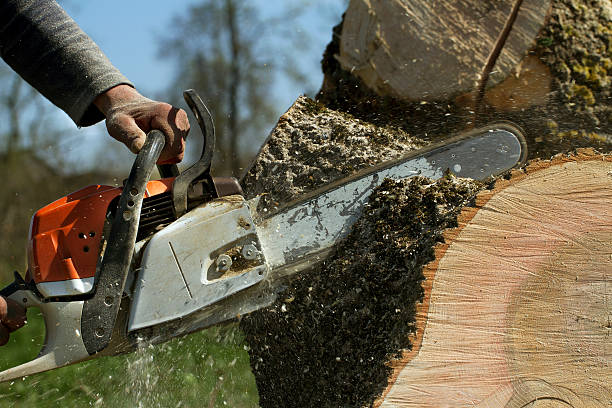 Mulching Services in Desoto, TX